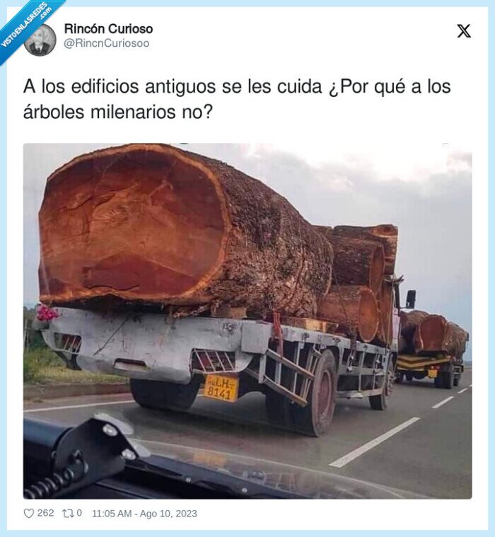 milenarios,edificios,antiguos,árboles