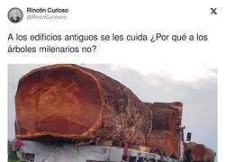 Enlace a Nos estamos cargando lo verdaderamente importante, por @RincnCuriosoo