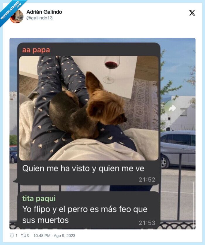 paqui,tita,perro,feo