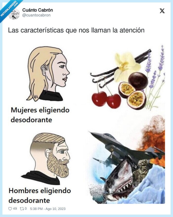 características,tiburon,naves,desodorante,chicos,chicas