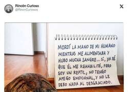 Enlace a Qué cara de indiferencia tiene la jodida, por @RincnCuriosoo