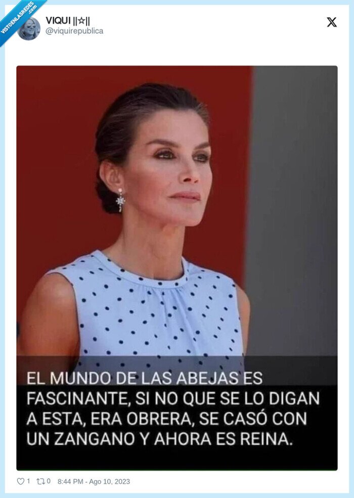 abejas,casa real,monarquia,letizia