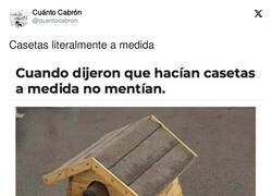 Enlace a Sal de ella ahora campeón, por @cuantocabron