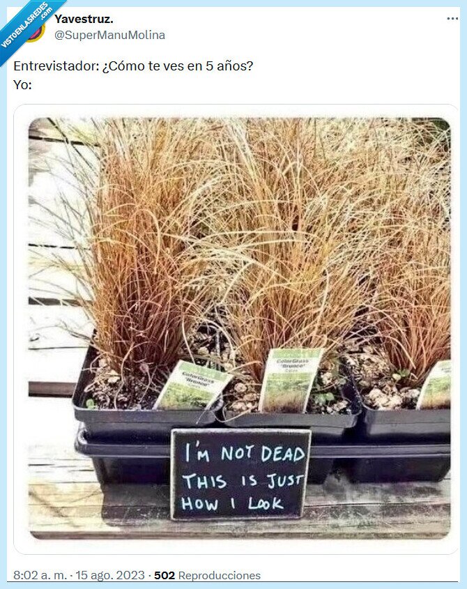 entrevista,trabajo,planta,futuro