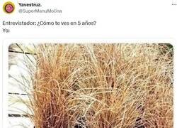 Enlace a Vivito y coleando por @supermanumolina