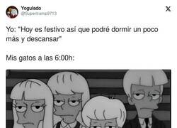 Enlace a Que estoy de V A C A C I O N E S