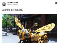 Enlace a Imagina la del ginecólogo, por @RincnCuriosoo