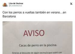Enlace a En verano cuidado con las comunidades, por @LiosdeVecinos