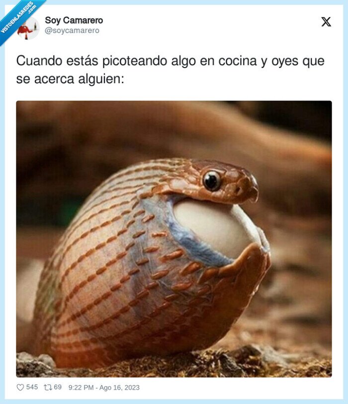 picotear,alguien,cocina,acercarse