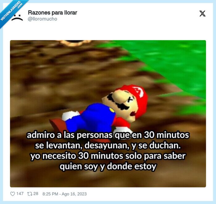 despertar,desayunar,levantarse,dormir