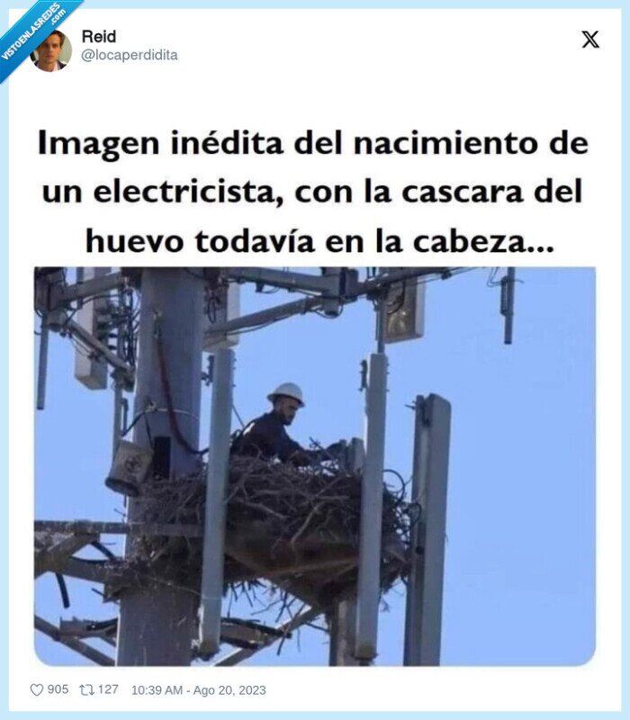 nacimiento,electricista,nido