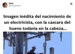 Enlace a Qué cuco, cuidado que puede venir la madre a alimentarlo, por @locaperdidita