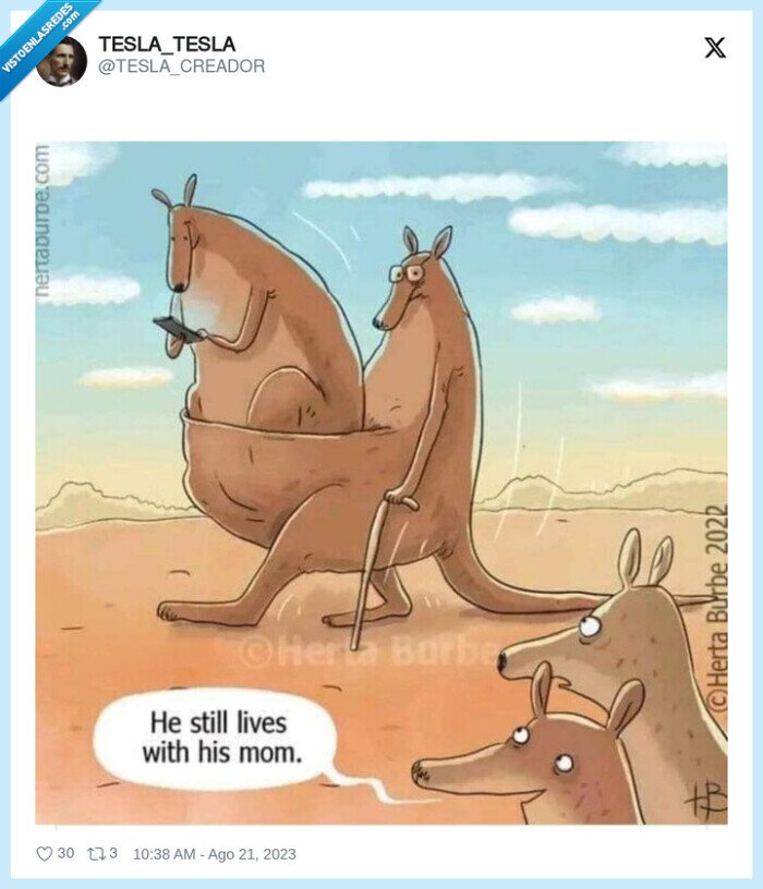 canguro,madre,barriga