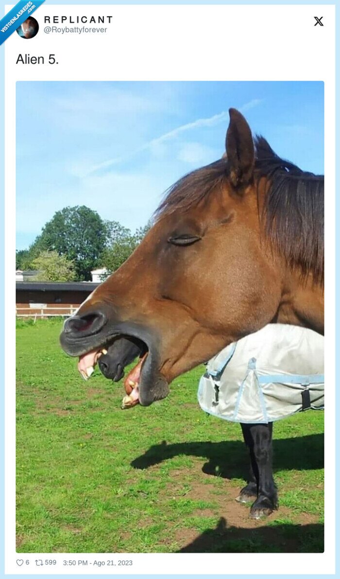 alien 5,caballos