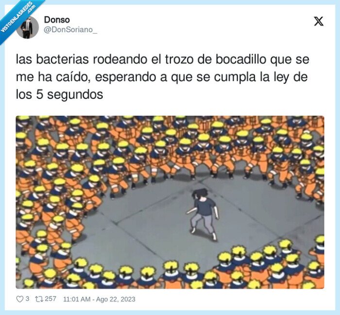 bacterias,bocadillo,esperando,rodeando,segundos