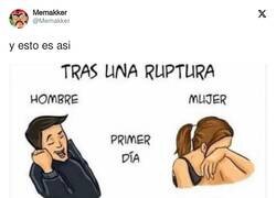 Enlace a Tras una ruptura, por @Memakker