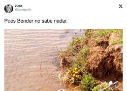 Enlace a Lección aprendida, por @zucepunk