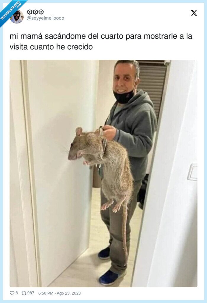 sacar,visita,madre,rata,habitación