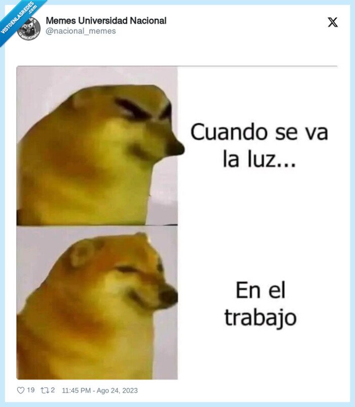 doge,cheems,trabajo,casa,luz,irse