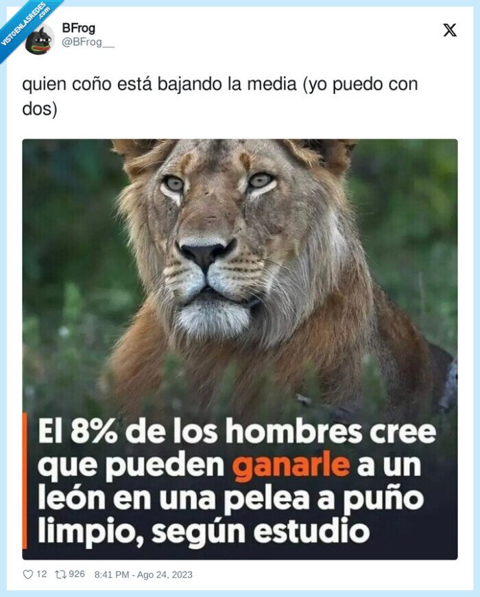 ganar,leon,hombres,atreverse