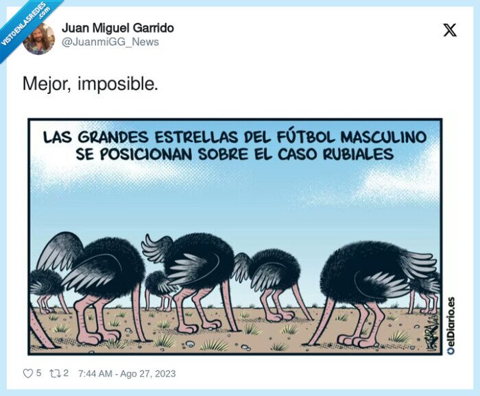 avestruz,cabezas,bajo tierra,rubiales