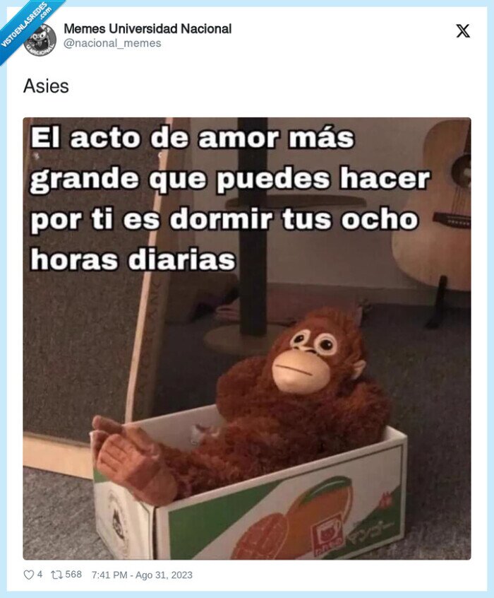 amor,dormir,ocho horas