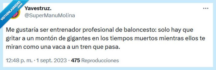 entrenador,baloncesto,profesional