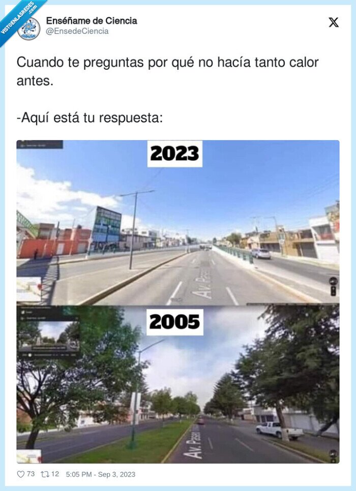 calor,arboles,vegetacion,calentamiento