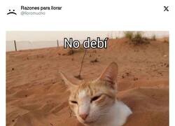 Enlace a Mi madre lo repite constantemente y sigo cayendo una y otra vez, por @lloromucho