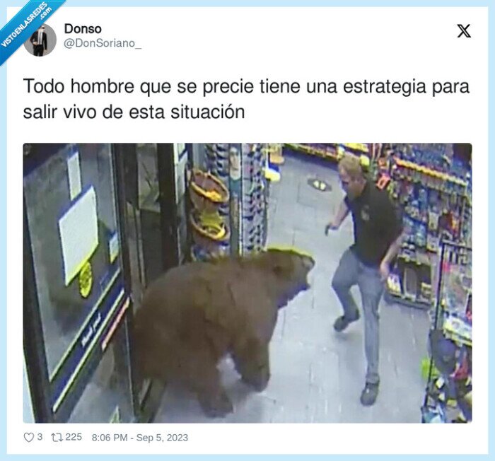 estrategia,situación,hombre,oso,ataque