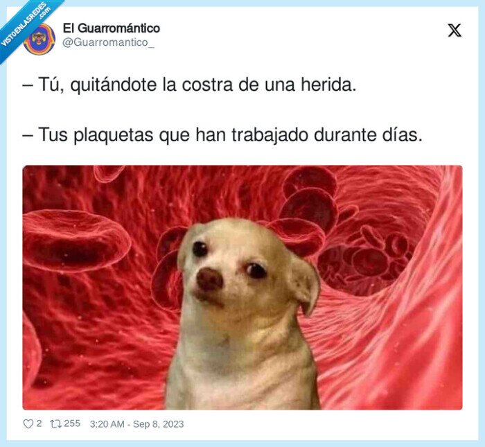 quitarse,plaquetas,trabajo,costra,herida