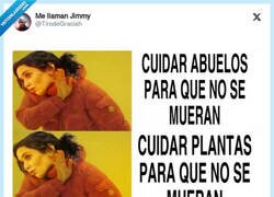 Enlace a La cabeza de Ayuso tiene que ser muy muy compleja, por @TirodeGraciah