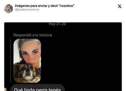 Enlace a Aquí el jefe es el perro, por @padecirnosotros