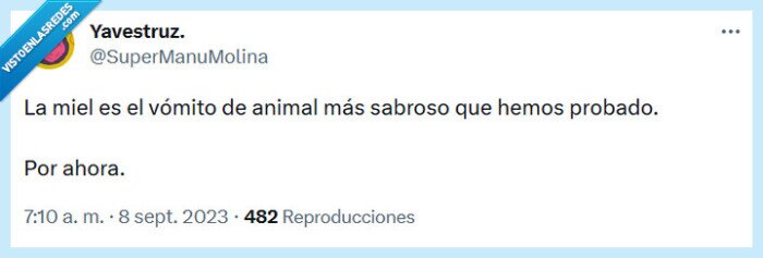 miel,vómito,animal