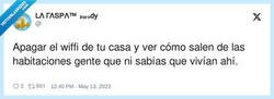 Enlace a Ratas por todos lados, por @Raspatuit