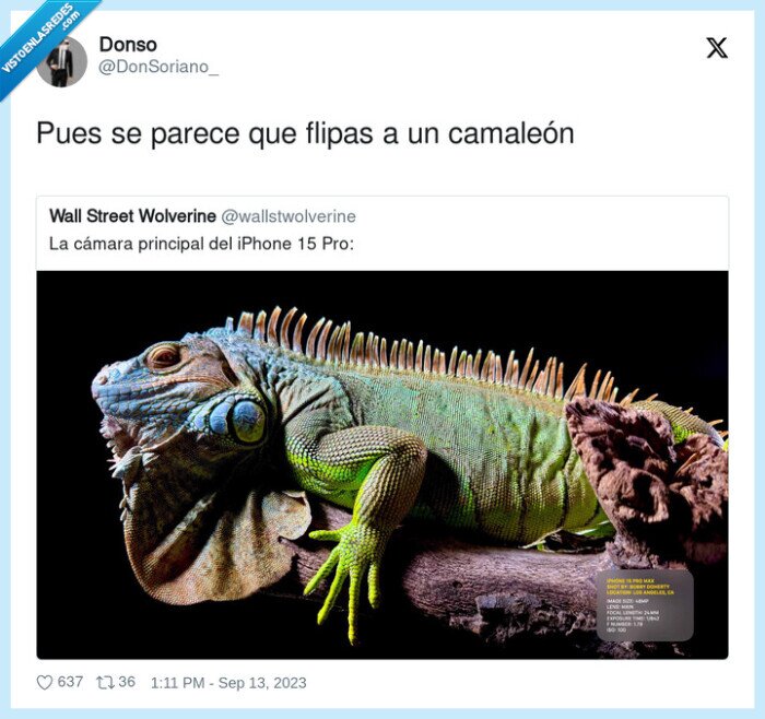 camaleón,iphone15,cámara principal