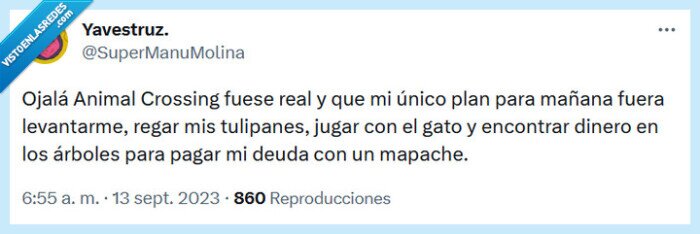 animal crossing,mapache,real