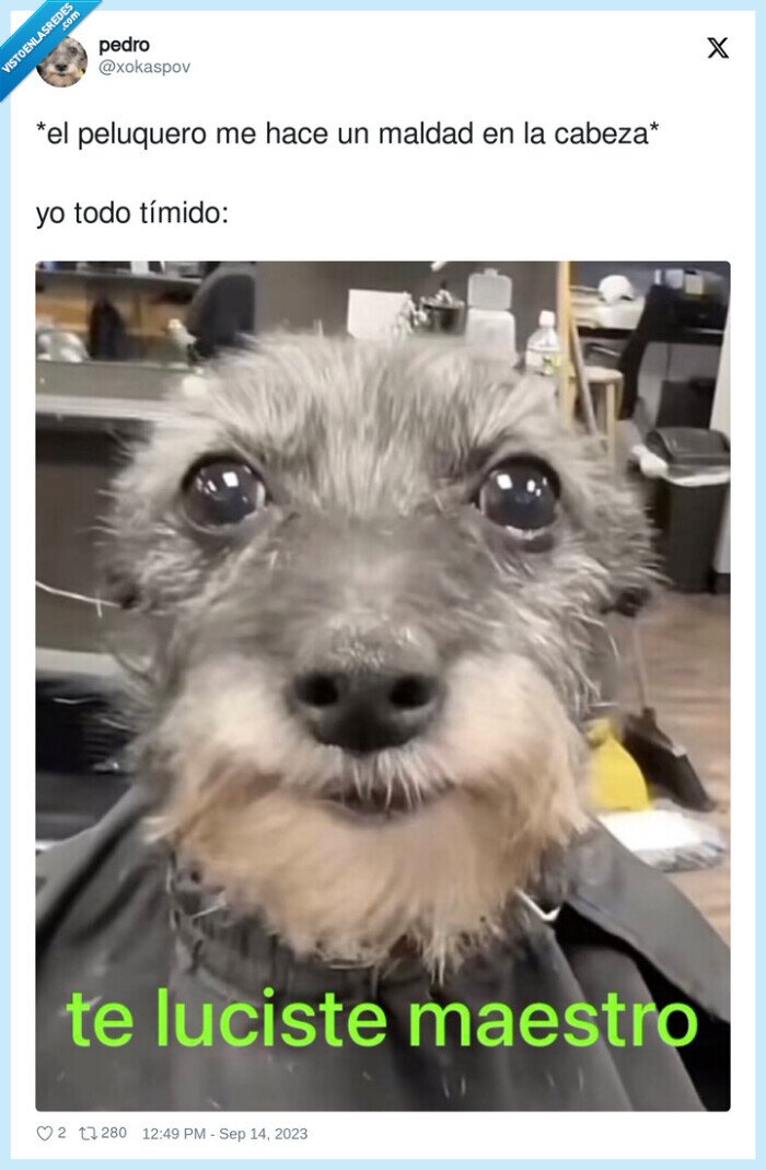 peluquero,cabeza,tímido,maldad