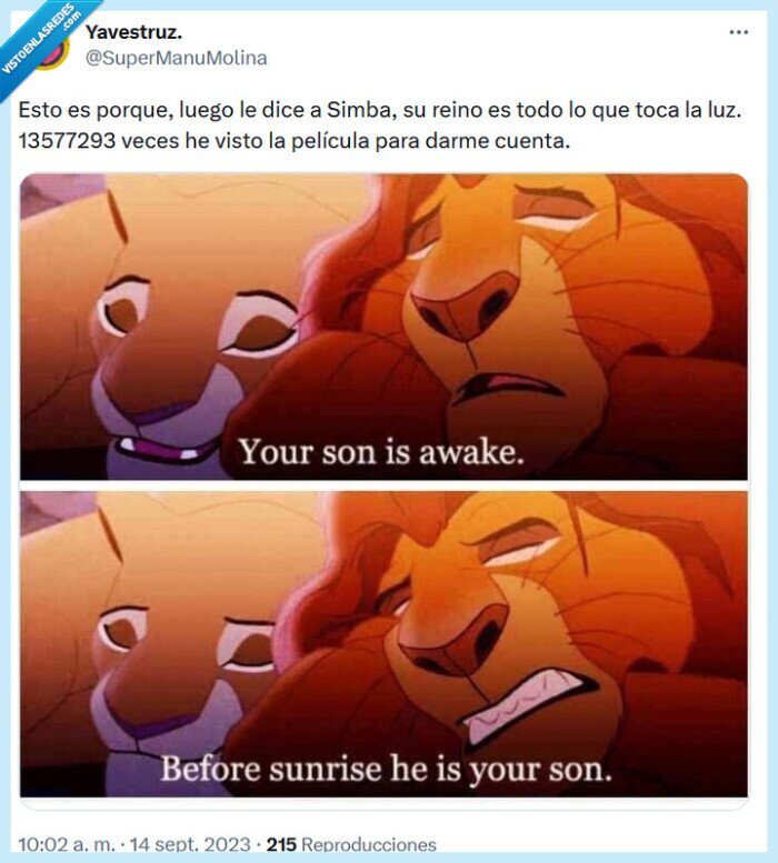 simba,curiosidad