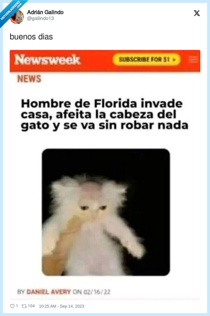 rapar,cabeza,gato