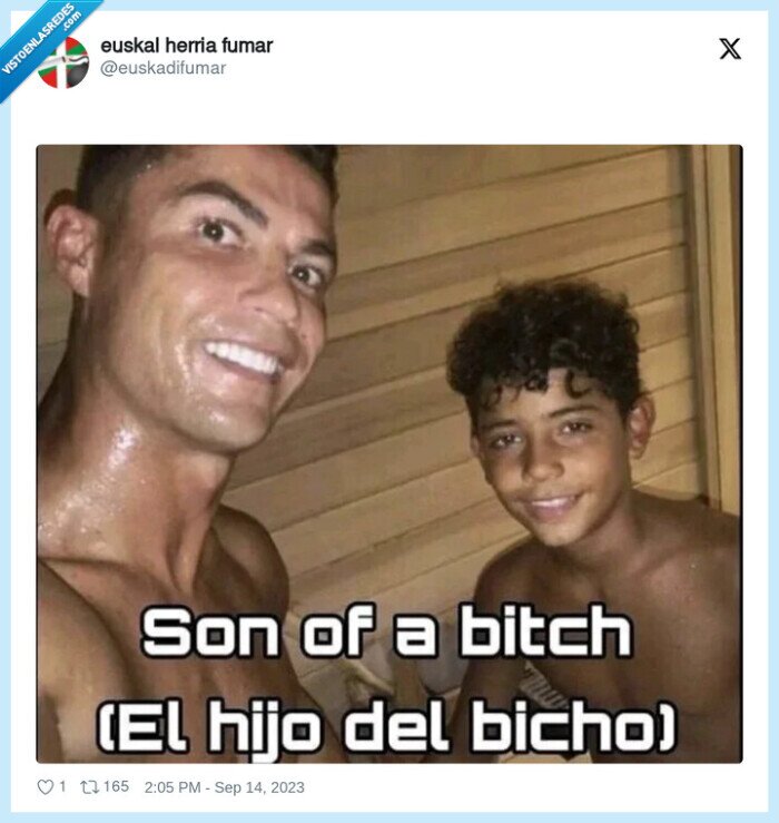 cristiano ronaldo,bicho