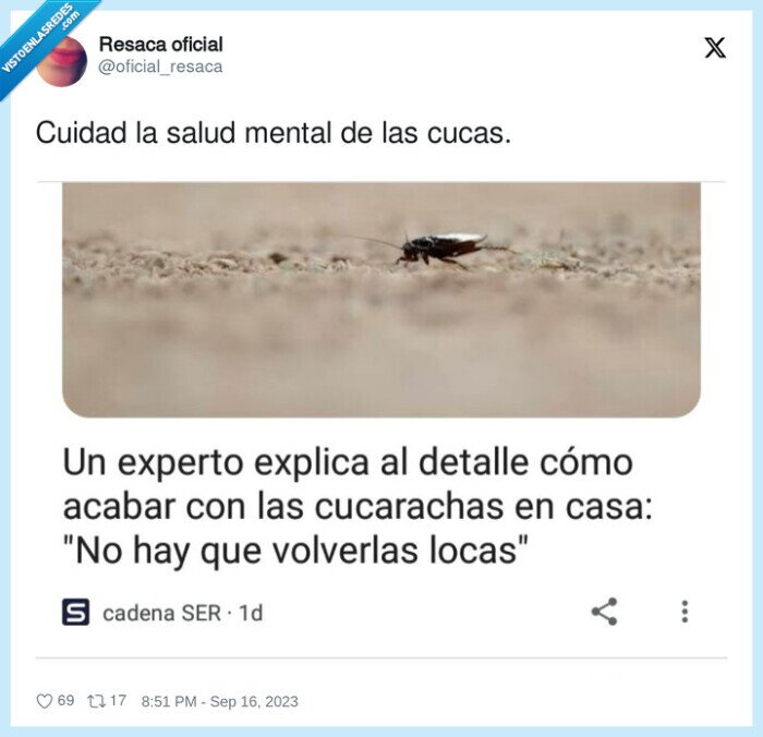 cuidad,salud mental,cucarachas