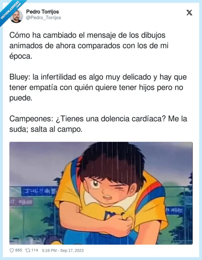 infertilidad,cardíaca,campeones,empatía,dibujos animados,julian ross,bluey