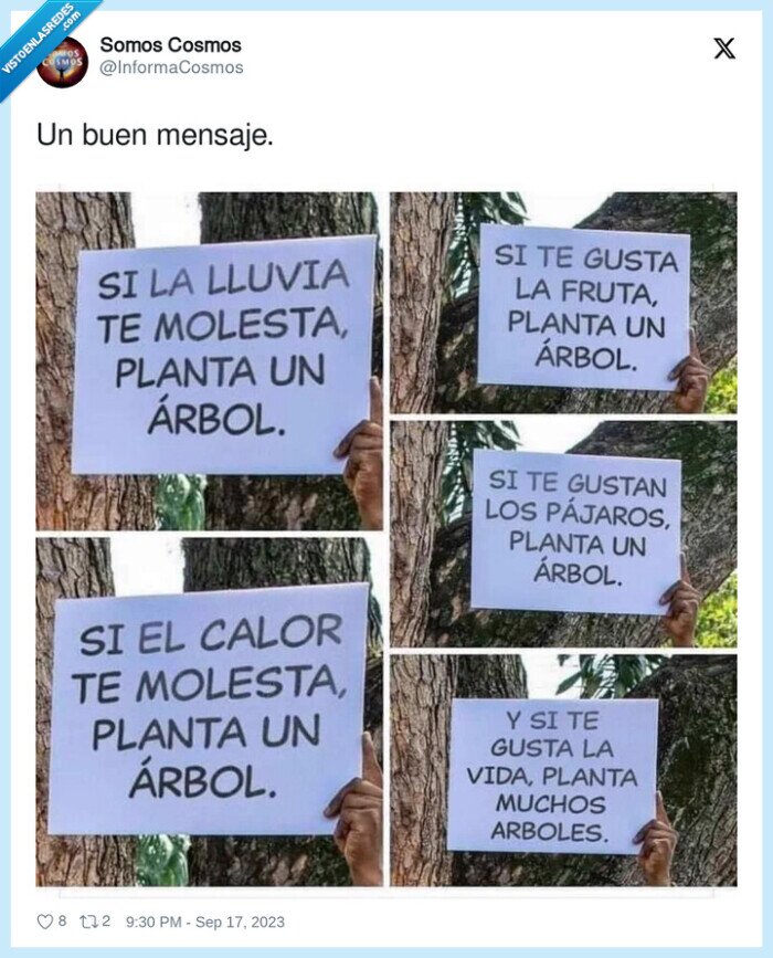 mensaje,árbol,plantar