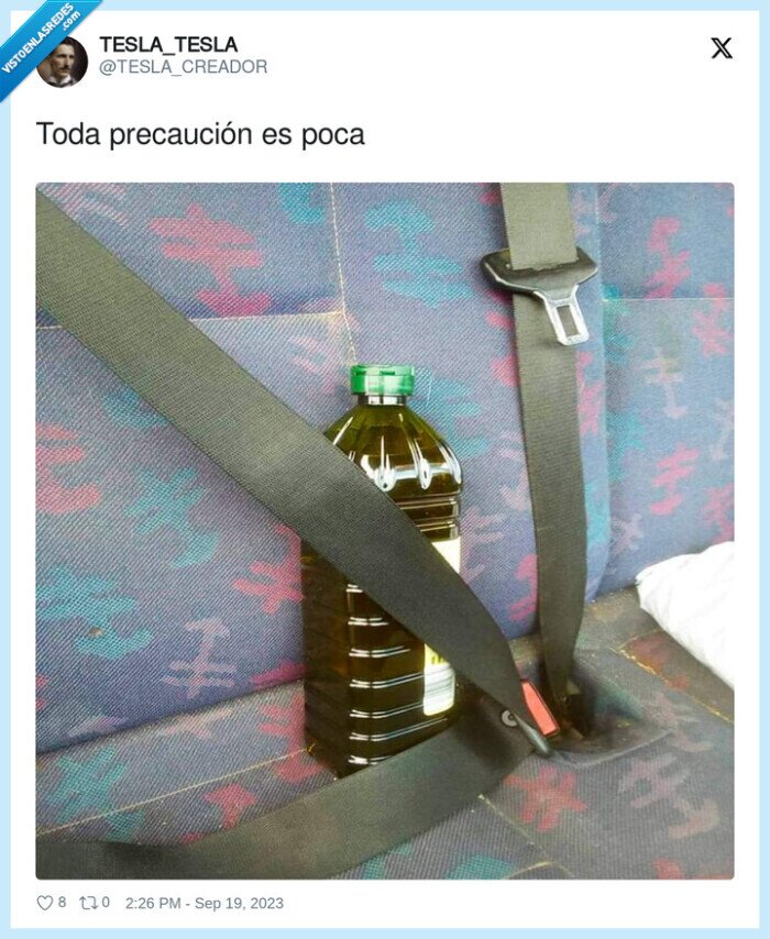 cinturon,seguridad,aceite de oliva