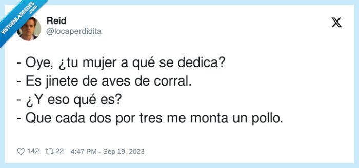 jinete,corral,mujer,montar,pollo