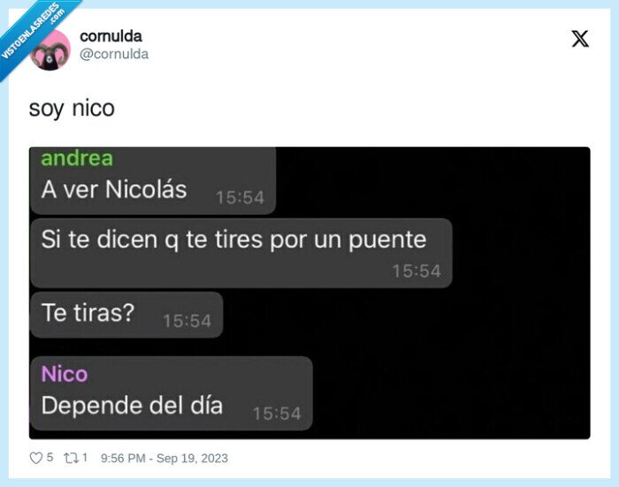 nico,depende del dia,tirarse,puente