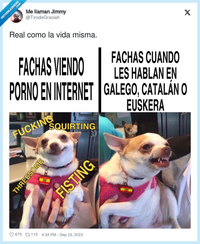 fachas,idiomas