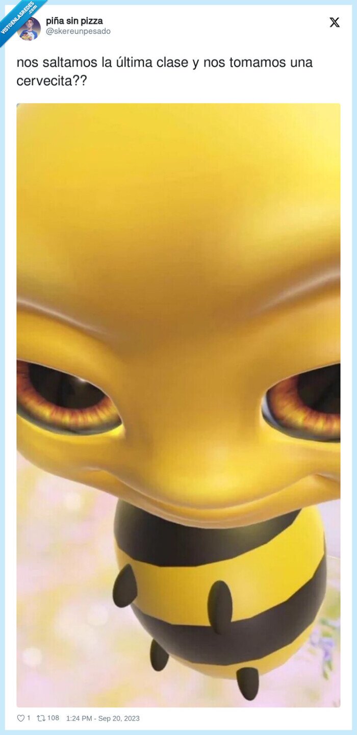 convencer,saltar,clase,avispa