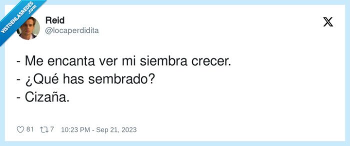 sembrado,siembra,cizaña,crecer